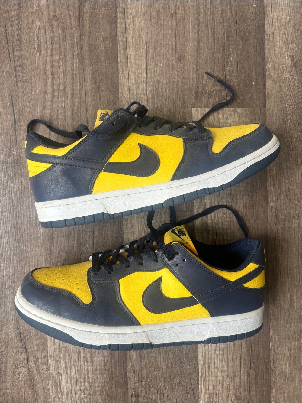 Nike men’s Michigan dunks size 11